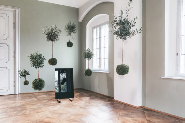 VERRE LISSE – Image 5