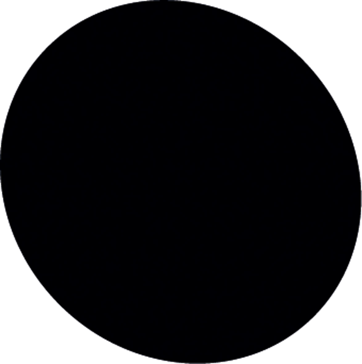 noir lisse