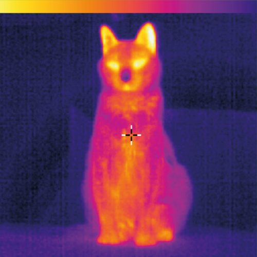 rayonnement dangereux 550×550 rayonnement dangereux 550x550